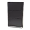 Baxton Studio Simms Contemporary Wood 3 Pull-out Shelf Shoe Cabinet In Dark Gray
