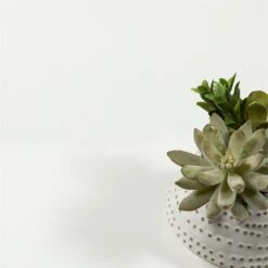 Tvilum Bright 4 Drawer Shoe Cabinet In White -Cymax Sales 1953162 8 L