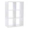 Linon Lane Two Cubby Wood Storage Cabinet In White