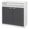 Pilaster Designs Moretz 2-Door Wood Shoe Storage Cabinet In White And Gray