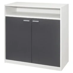 Pilaster Designs Moretz 2-Door Wood Shoe Storage Cabinet In White And Gray