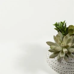 Home Square 2-Piece Set With 2 Drawer Shoe Cabinet And 3 Drawer Shoe Cabinet -Cymax Sales 2685515 17 L