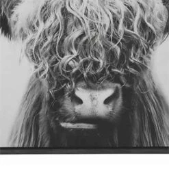 Wood And Canvas Highland Cow Wall Art Black And White -Cymax Sales 2735486 1 L